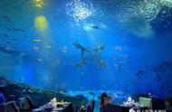 上海全球唯一7°倾斜海底餐厅，美食与美人鱼表演的完美结合！