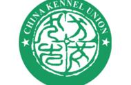 国内犬种管理机构的权威解析：CKU、NGKC与CNKC