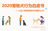 狗狗行为大揭秘：8种热门犬种常见坏习惯及应对方法