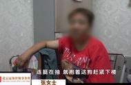 震惊！北京小区十几只狗相继离奇死亡