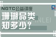 探秘珊瑚品类知识，NGTC公益讲座来袭