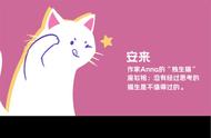 猫的世界探索：家猫与野猫的一天如何度过