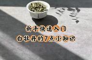 白茶白牡丹入门指南：7个必知小知识