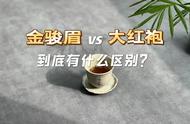 金骏眉与乌龙茶：揭秘两种茶的独特之处