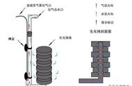 专为中小型热带观赏鱼打造的鱼缸过滤神器，性能卓越！