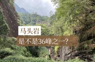 武夷山的茶叶种植情况：三十六峰、七十二洞、九十九岩