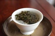 探讨普洱茶：饼茶和散茶，你更喜欢哪一种？