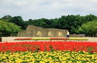 你知道「南京雨花茶」的历史背景吗？