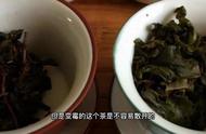 金花茶与发霉茶：茯砖茶的辨别方法