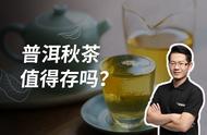 秋茶：不值得储存，但我们为何还在生产？