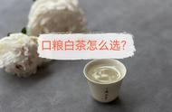 购买白茶的4大秘诀：过来人的经验分享