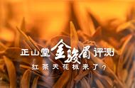 万元一斤的红茶：正山堂2022金骏眉红茶评测