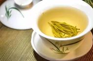 探索黄茶的世界：了解多少？