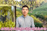 西湖龙井茶农，与您共享茶香时光