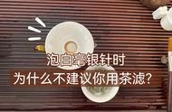 为什么你总是喝不懂好茶？原来泡白毫银针的茶滤方法是错的！