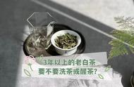 3年以上的老白茶，其陈味会像熟普一样吗？需要洗茶或醒茶吗？