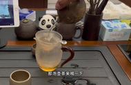 第203期：如何应对龙鱼饲养过程中的不适？#茶艺分享