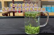 探索蒙顶甘露：为何它在绿茶市场中独树一帜？