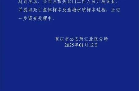 震惊！公园美景背后锦鲤大逃亡真相揭秘