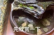 水族馆之旅：与海洋生物共舞