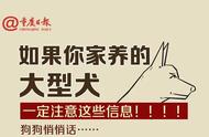 注意！从10月1日开始，这32种犬只将不再被允许饲养。