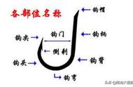 别再用错了！9种鱼钩型及其特点详解