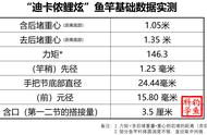 国内钓友能否接受法国第一运动品牌的高价鱼竿？