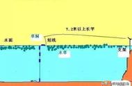 探索传统钓法：它的优势在哪里？