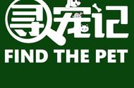 从零开始：全面指南助你开启宠物店之旅