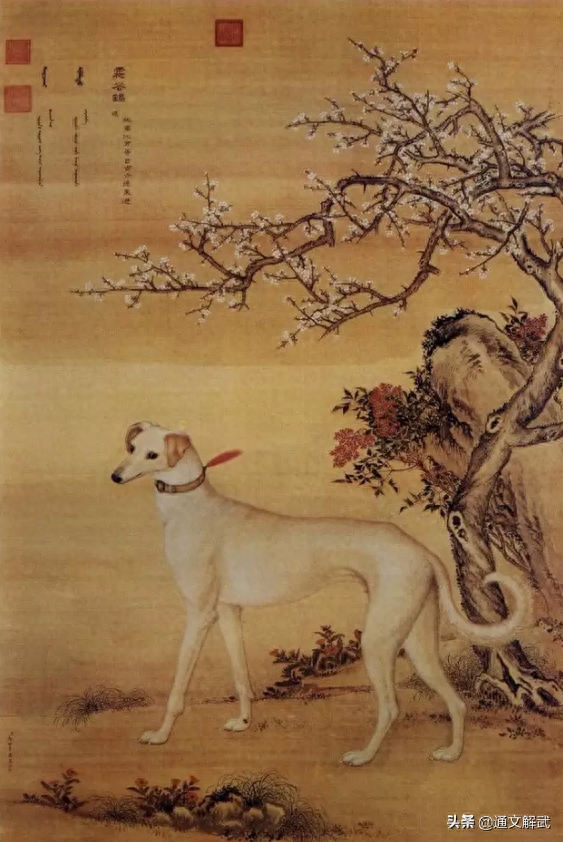 郎世宁笔下的《十骏犬图》，你能认全这十只犬分别是什么品种吗？