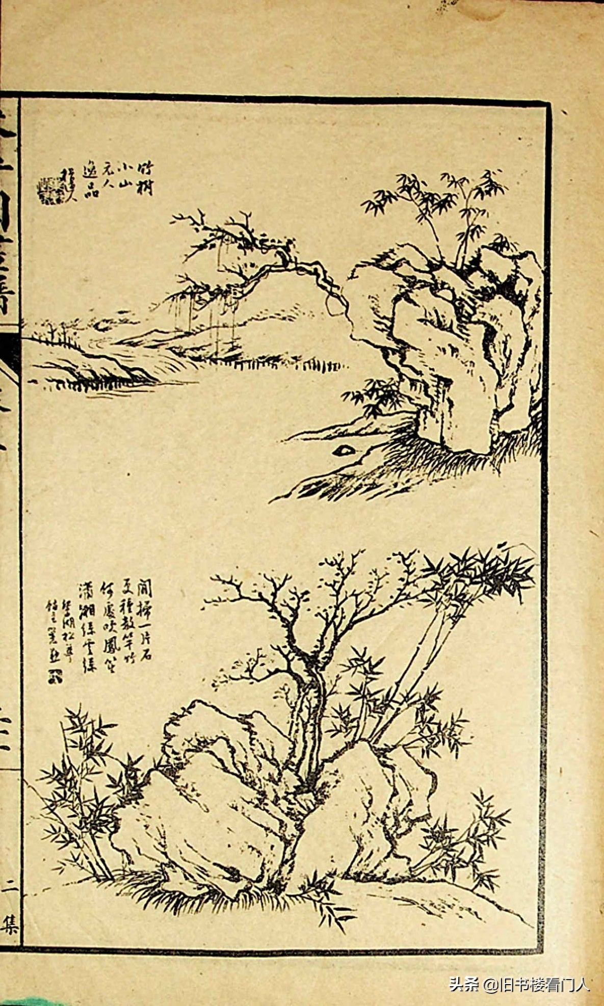 艺术类学画必修之书－《芥子园画谱·竹谱》