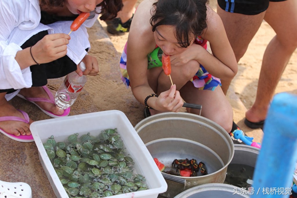 青岛海滨卖的红脚蟹每个10元，挥舞红钳子争吃西瓜皮津津有味吸引游人，还有大批小乌龟4元一个